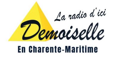 demoiselle fm logo