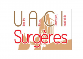 Logo UACI